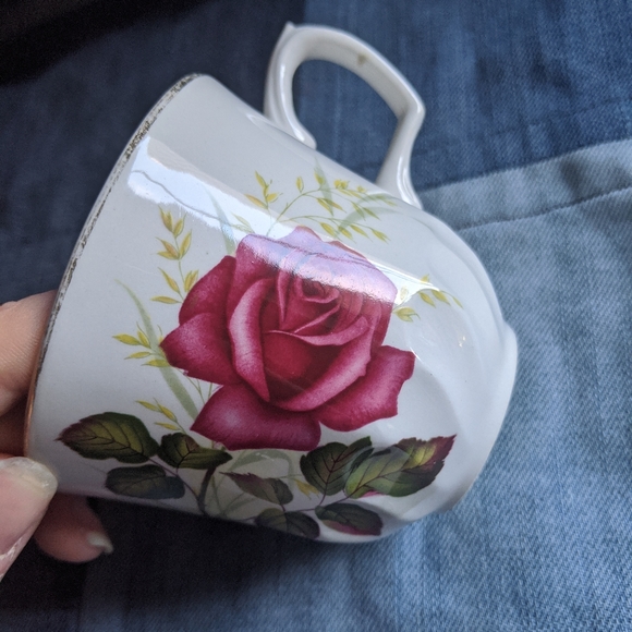 Vintage Anniversary rose bone China vintage teacup set - Picture 4 of 10